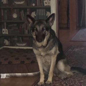 Meet your Posher, Laura